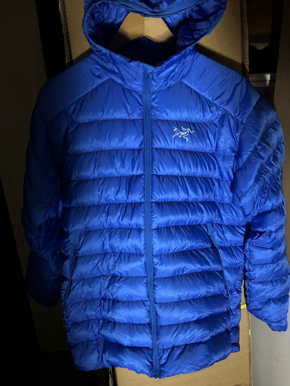 Arc'teryx Men's Blue Hooded Down Puffer Jacket